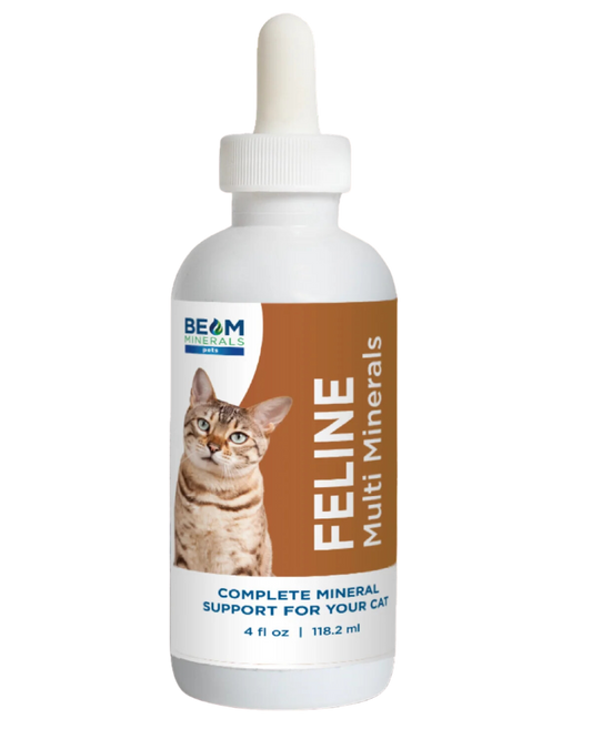 BEAM MINERALS COMPLETE FELINE MINERALS - 4 fl oz