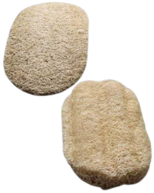 DISHWASHING LOOFAH SPONGE - SET OF 2