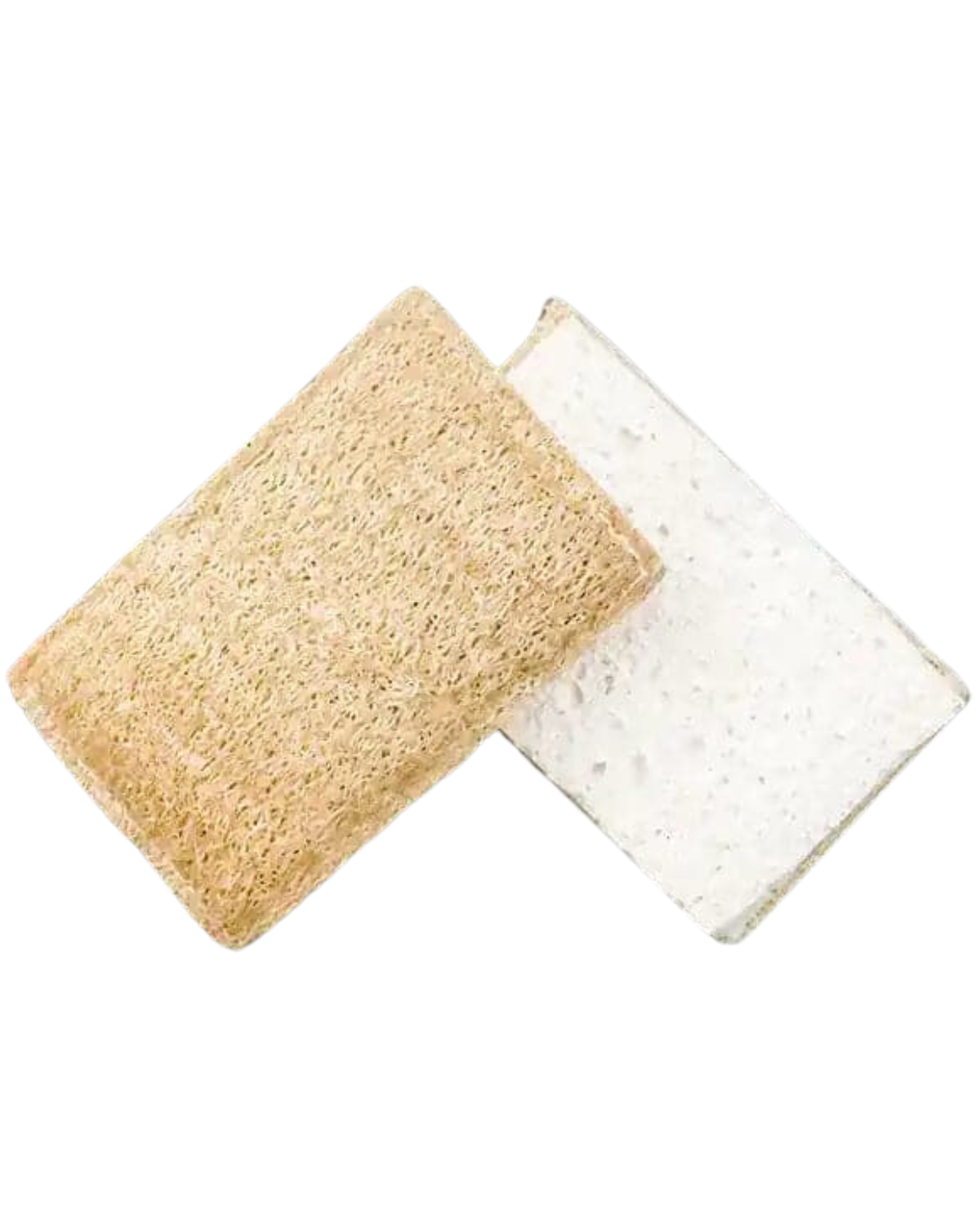 ECO SPONGE