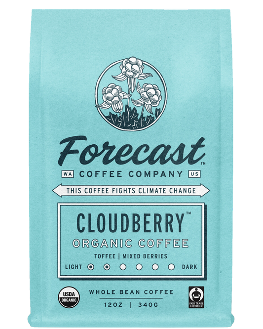 FORECAST COFFEE - CLOUDBERRY - 12oz