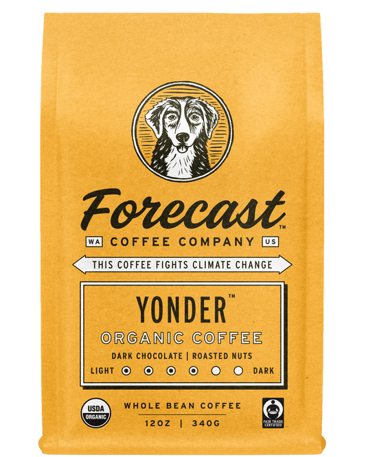 FORECAST COFFEE  - YONDER - 12oz