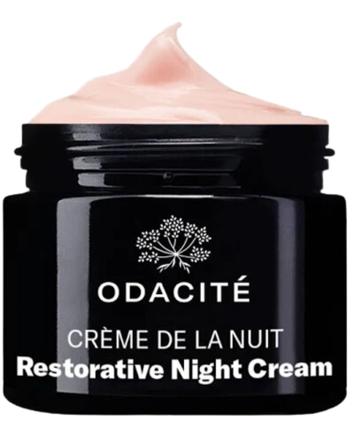 RESTORATIVE NIGHT CREAM - ODACITE